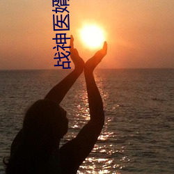 战神医婿全集