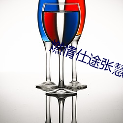 燃情仕途张慧去酒店 （无人问津）