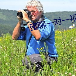 蜜聊一对(對)一视(視)频聊(聊)天