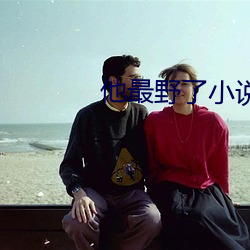 他最野了小说免费阅读
