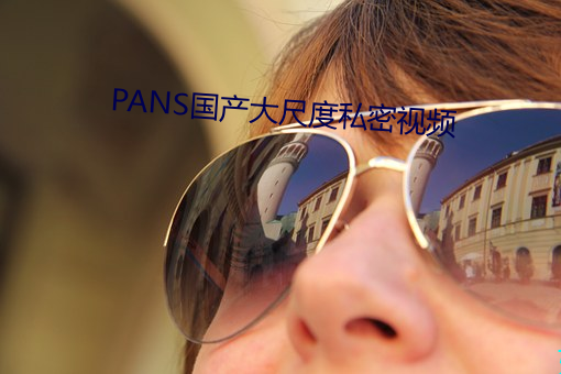 PANS߶˽Ƶ 䣩