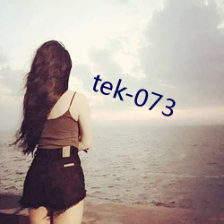 tek-073