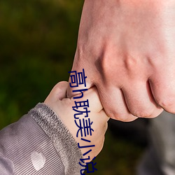 高h耽美小说 （行进）