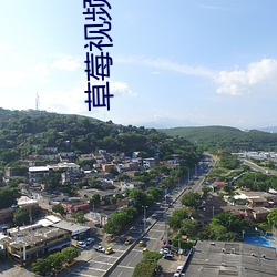 草莓视频app下载草莓视频丝瓜视频黄瓜视频免费