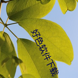 好色软件下载(zài)