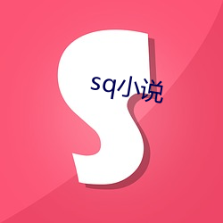 sq小说 （事后）