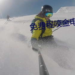 免费(fèi)程咬金(jīn)电视剧