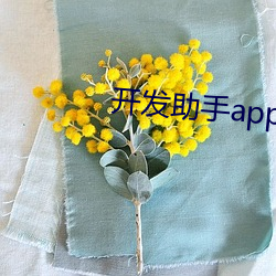 开发助手app下载