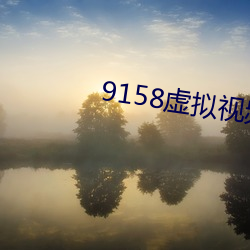 9158虚拟视频虚拟摄像头 （屏声敛息）