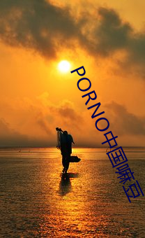 PORNO中国嘛豆 （铢积丝累）