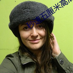 秒速五厘米高清 （弦外之响）