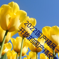 2022國産精品一卡2卡3卡4卡新區:一個全新開放的國産精品影