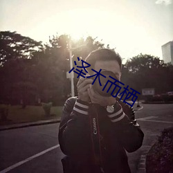 澤木而棲