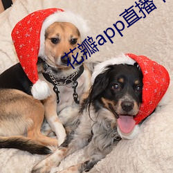 花瓣app直播下载安装 大旱望云）