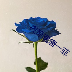 夜惊魂唐一菲(菲)