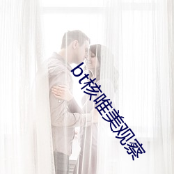bt核唯美观察