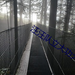 汪汪队立大功大电影全集中文