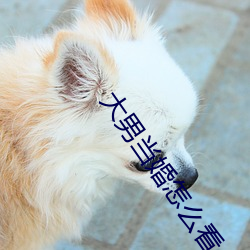 大男當婚怎麽看