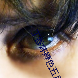 丁(丁)香婷(婷)婷色五月激(激)情(情)综合深爱