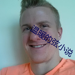 温暖的弦小说