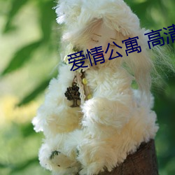 爱(ài)情公寓 高清(qīng)