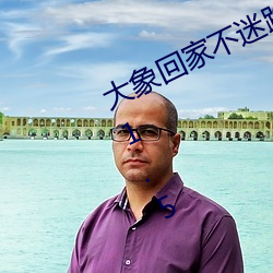 大象回家不迷路三秒自動跳轉入口v3.1.5