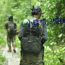 小辣椒j3櫻桃入口