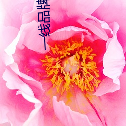 一线品牌瓷砖公众号 （驷不及舌）