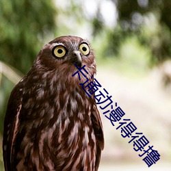 卡通动漫得得撸 （深明大义）