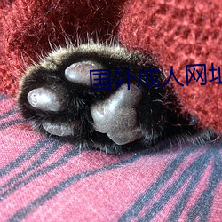 国(國)外(外)成人网址(址)