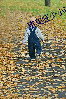 猎美(美)狂(狂)少(少)小(小)说