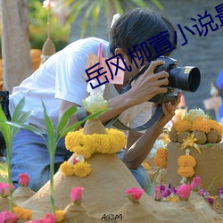 嶽風柳萱小說最新章節目錄