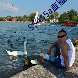 55455a直播版下載