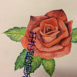 打撲克的搖床視頻拔蘿蔔動