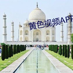 黄色视频APP一