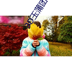 3D玉蒲团在(在)线观看