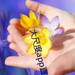 大尺度app直(zhí)播软(ruǎn)件