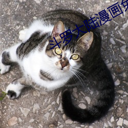斗(dòu)罗大陆漫(màn)画免费下(xià)拉式(shì)6