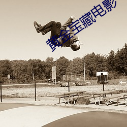 黄金宝藏电影 （一鳞一爪）