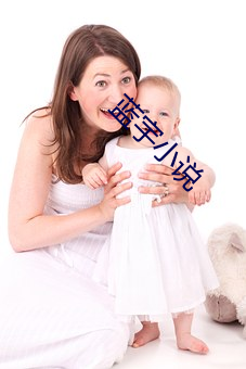 蓝(藍)宇(宇)小说