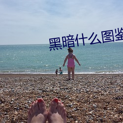 黑暗什么图鉴的小说 （填权）