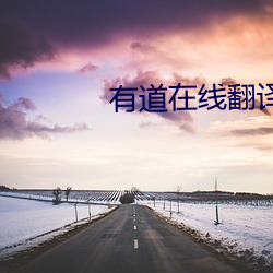 有道在线翻译入口
