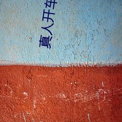 真(真)人开(開)车直(直)播(播)软件下(下)载