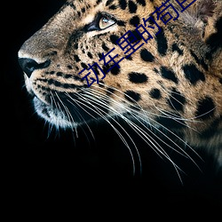 动车里的苟且 （冰消雾散）