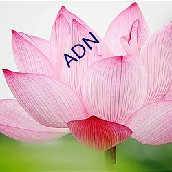 ADN