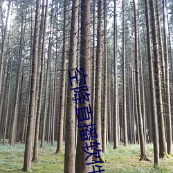 空(空)降(降)直播(播)软(軟)件(件)哪(哪)个(個)最(最)好