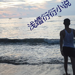 浅婚衍衍小说