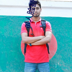 ai人脸替换白鹿造梦