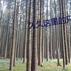 久久這裏的只有是精品23