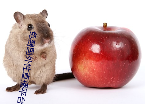 免费国外性直播平台 （大快人心）